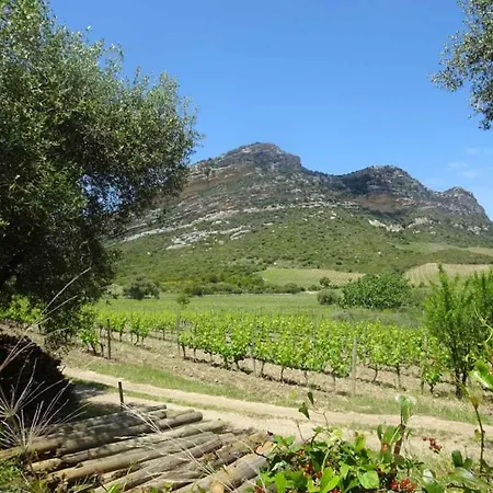 Jardin Et 2 Centre St Florent * Saint-Florent (Corsica)