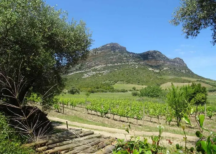 Jardin Et 2 Centre St Florent * Saint-Florent (Corsica)